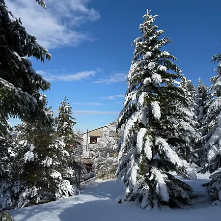 Oda ve Kahvaltı Castelvetri 3*