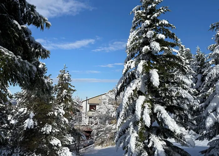 Bed & Breakfast Castelvetri 3*